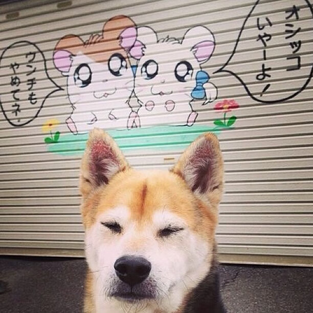 爱游戏体育（AYX）官方APP下载-广场舞比赛吸引大量观众参与，广场舞比赛吸引大量观众参与怎么形容